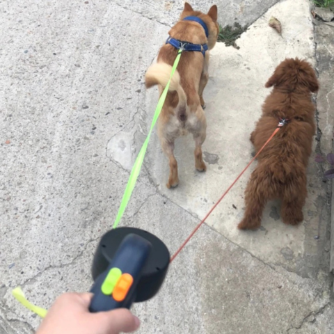 TangleFree™ Dual Dog Leash