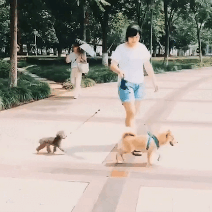 TangleFree™ Dual Dog Leash